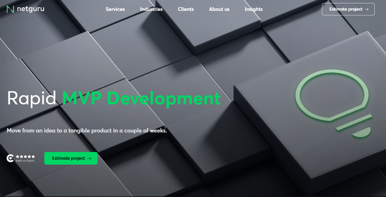 Netguru - MVP development